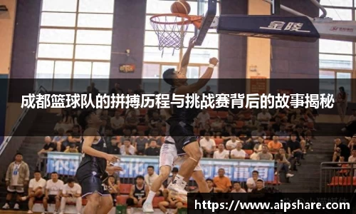 678体育直播平台